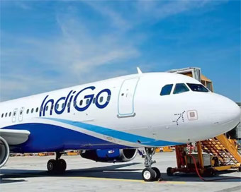 Bomb threat for IndiGo flight at Delhi airport turns out to be hoax 